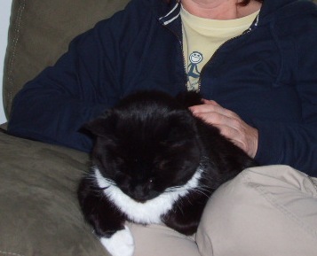 Murphy responds to Reiki