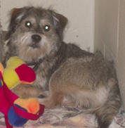 At One With The Fly. Heartsong Reiki